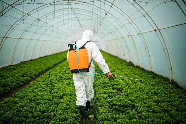 Pest Control for Warehouses in Libby, MT